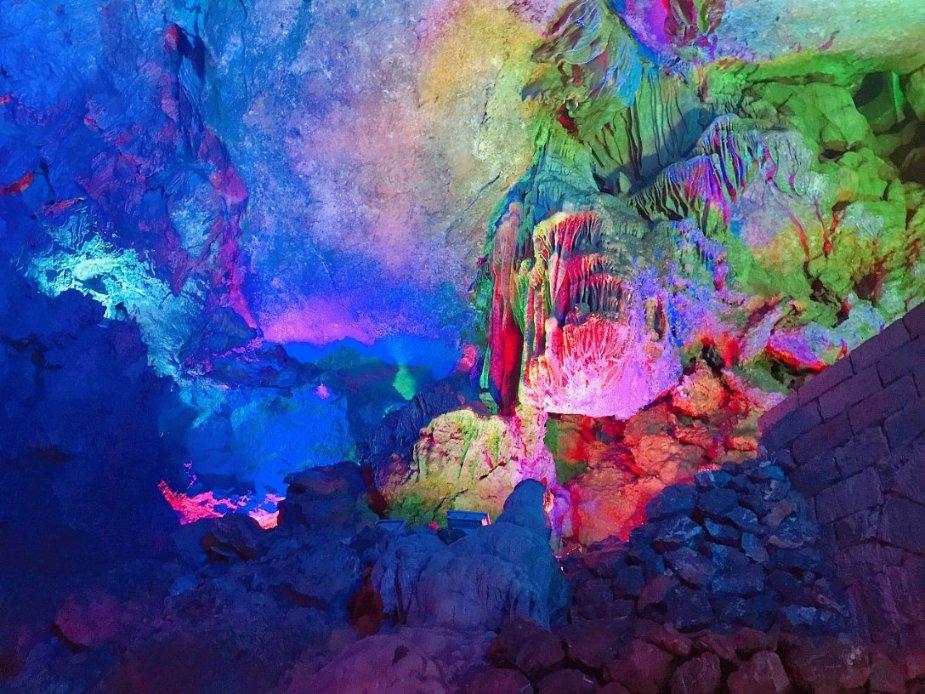 原始丛林找星星